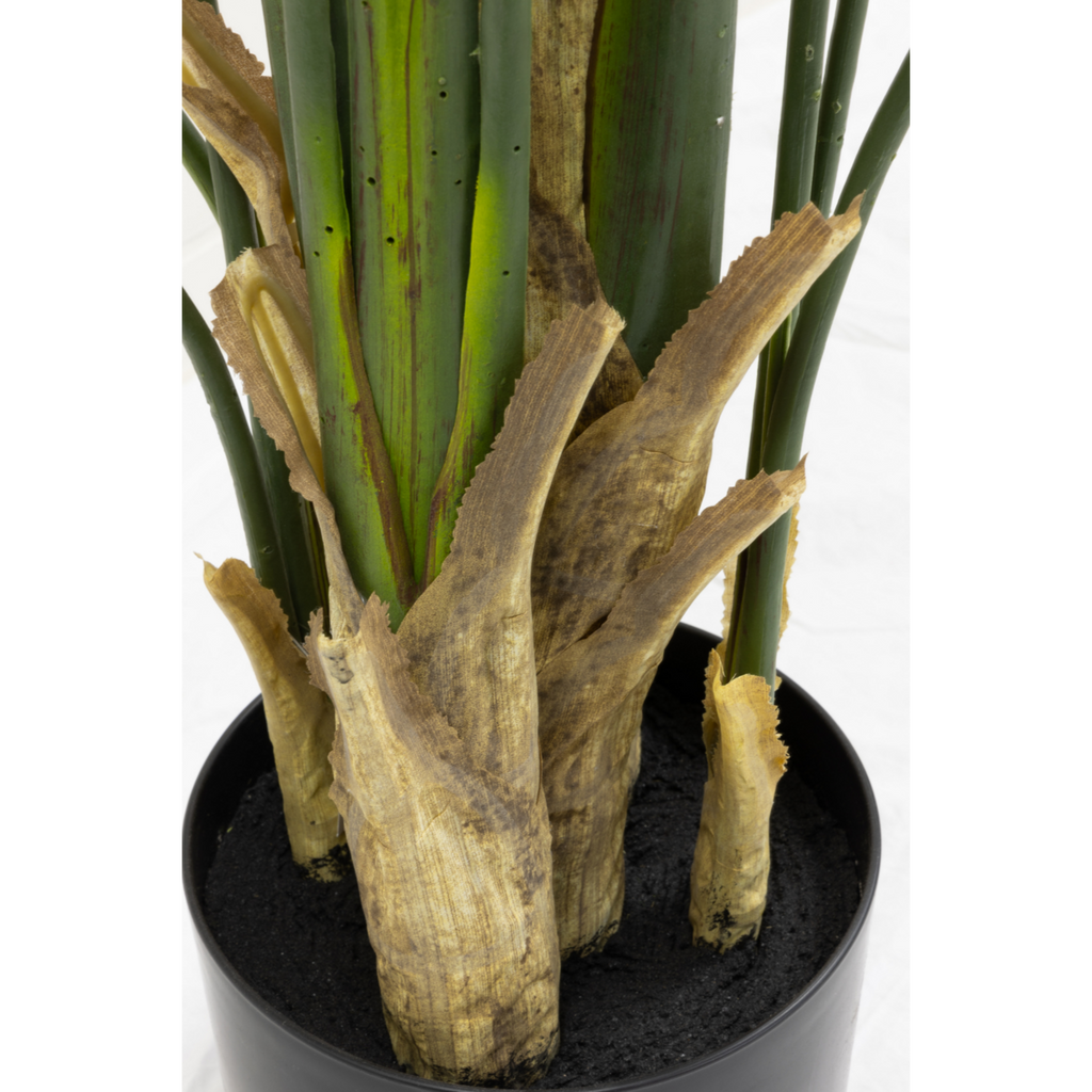 Strelitzia Kunstplant 210cm