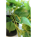 Philodendron Kunst Hangplant 90cm