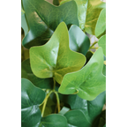 Hedera Kunst Hangplant 110cm