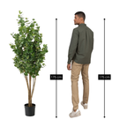 Kunstplant Eucalyptusboom Groen 175cm  - Real Touch