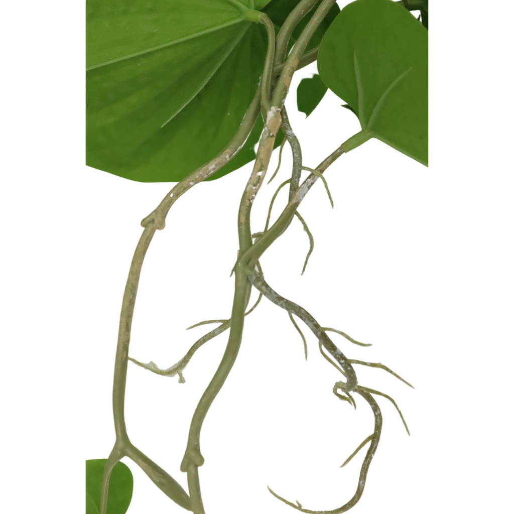 Neocheiropteres Kunst hangplant 80cm