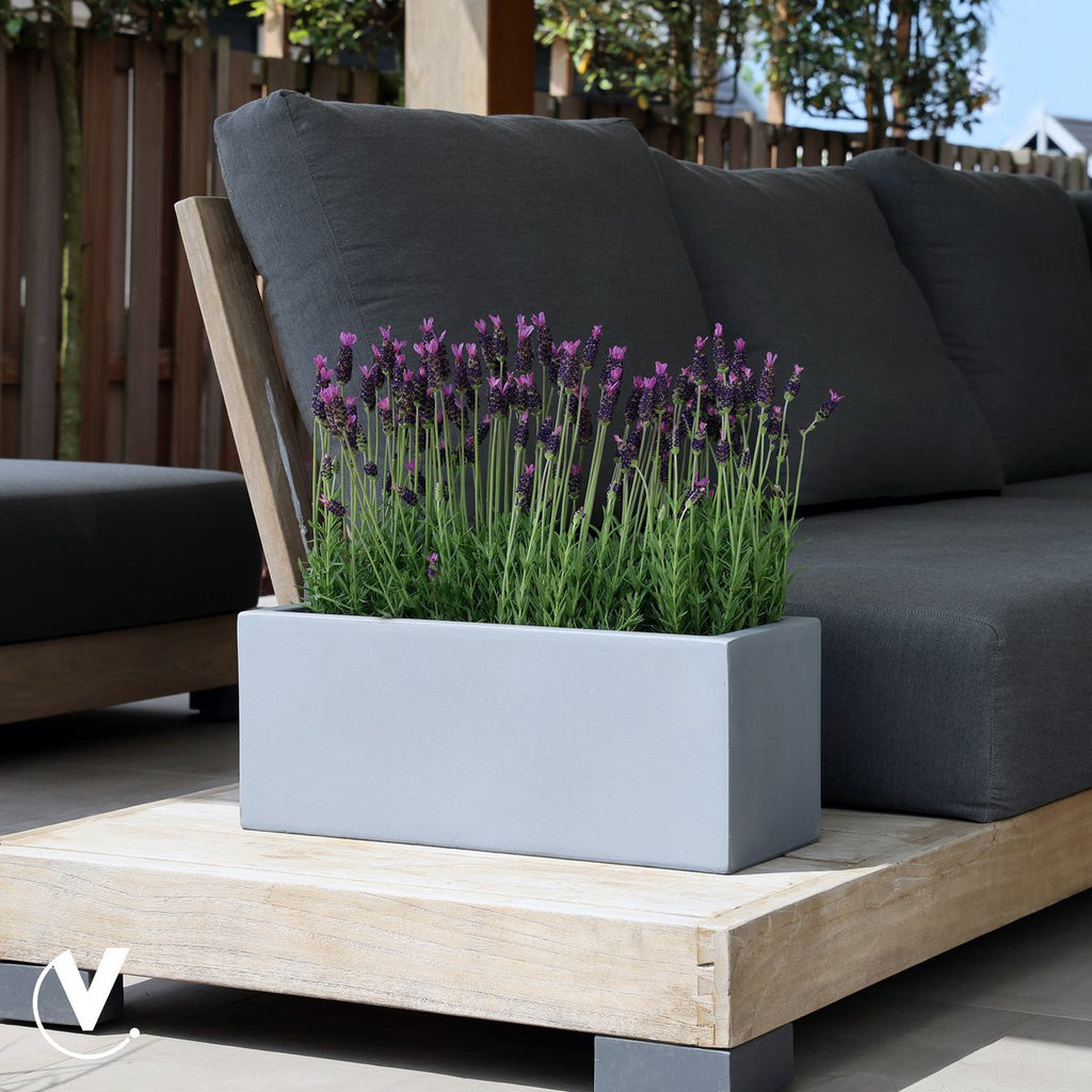 Plantenbak - Virginia grey (set van 2 stuks)