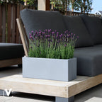 Plantenbak - Virginia grey (set van 2 stuks)