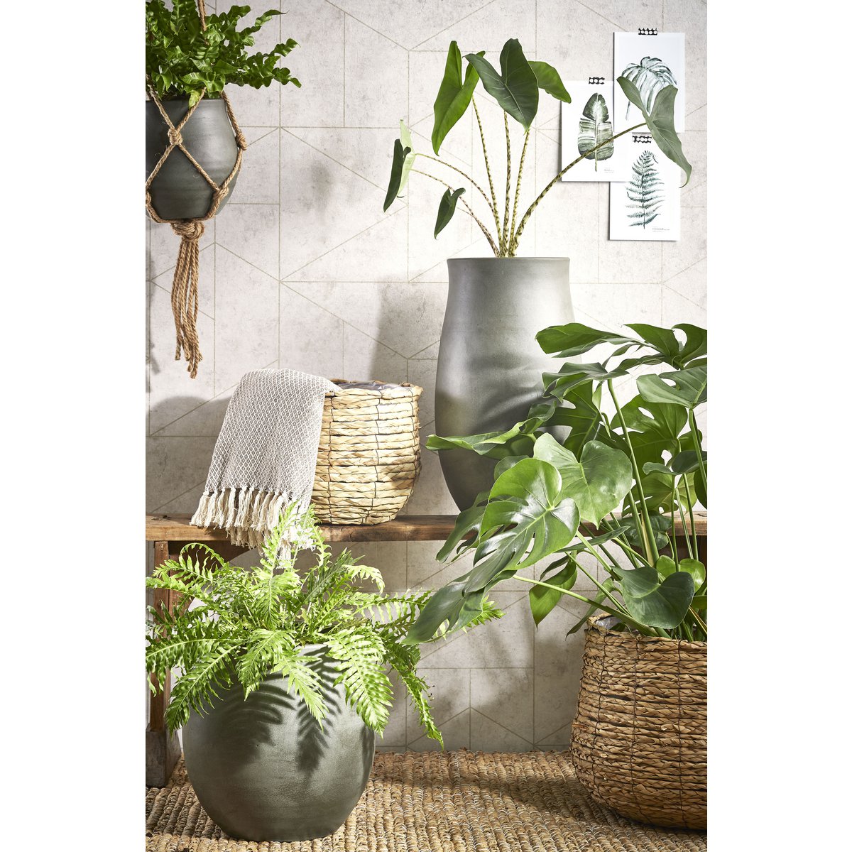 SET - Plantenmanden Avalon Lichtbruin