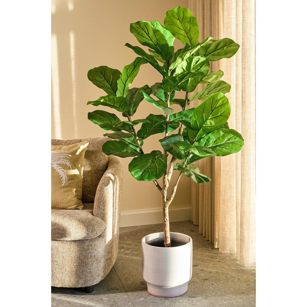 Kunstplant Ficus Lyrata 150cm