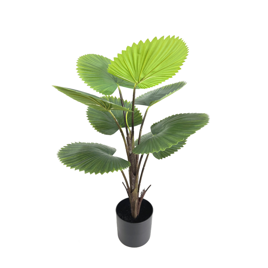 Kunst Waaierpalm 75cm