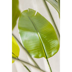 Strelitzia Kunstplant 180cm