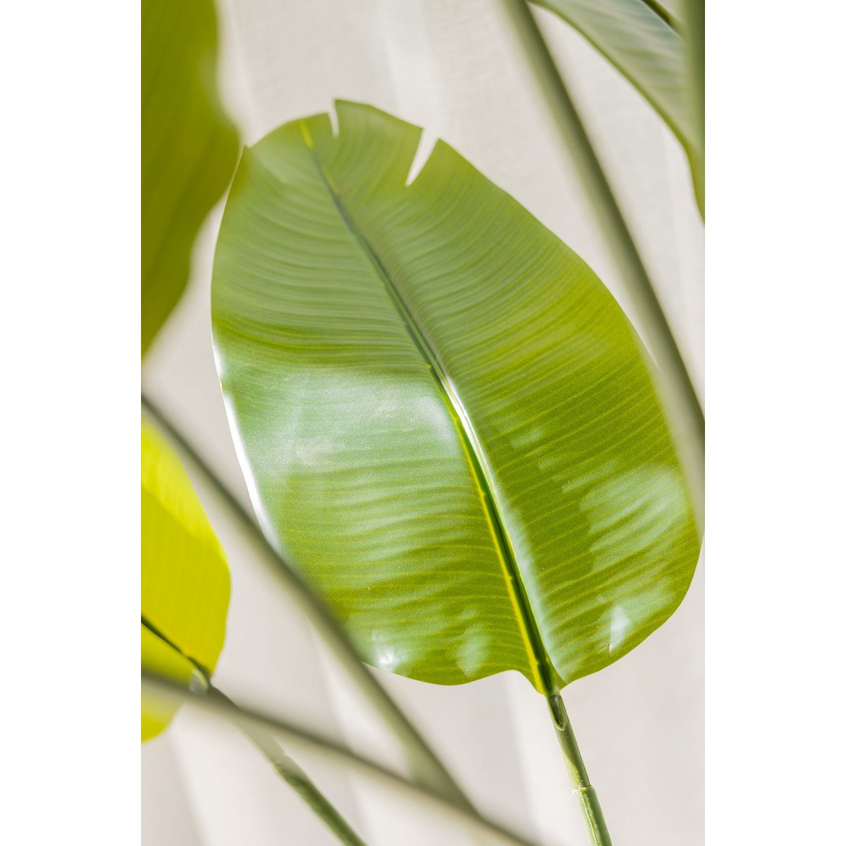 Strelitzia Kunstplant 180cm