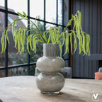 Vaas - Alima Elite grey