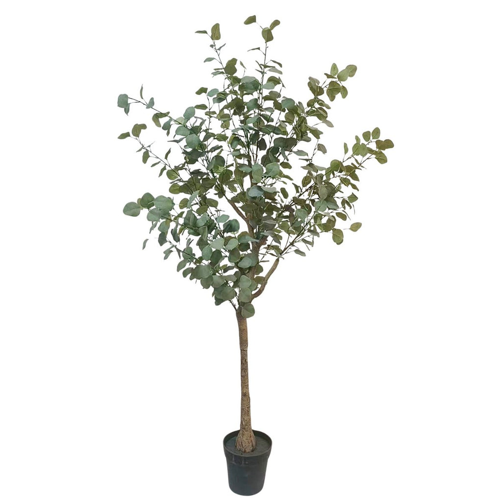 Eucalyptus Kunstboom 180cm