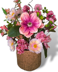 Magnolia Blush