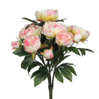 Boeket Peony Lichtroze