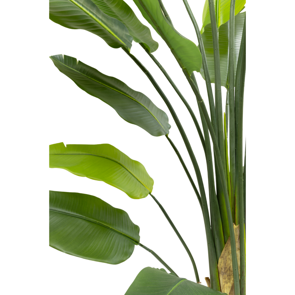 Strelitzia Kunstplant 210cm