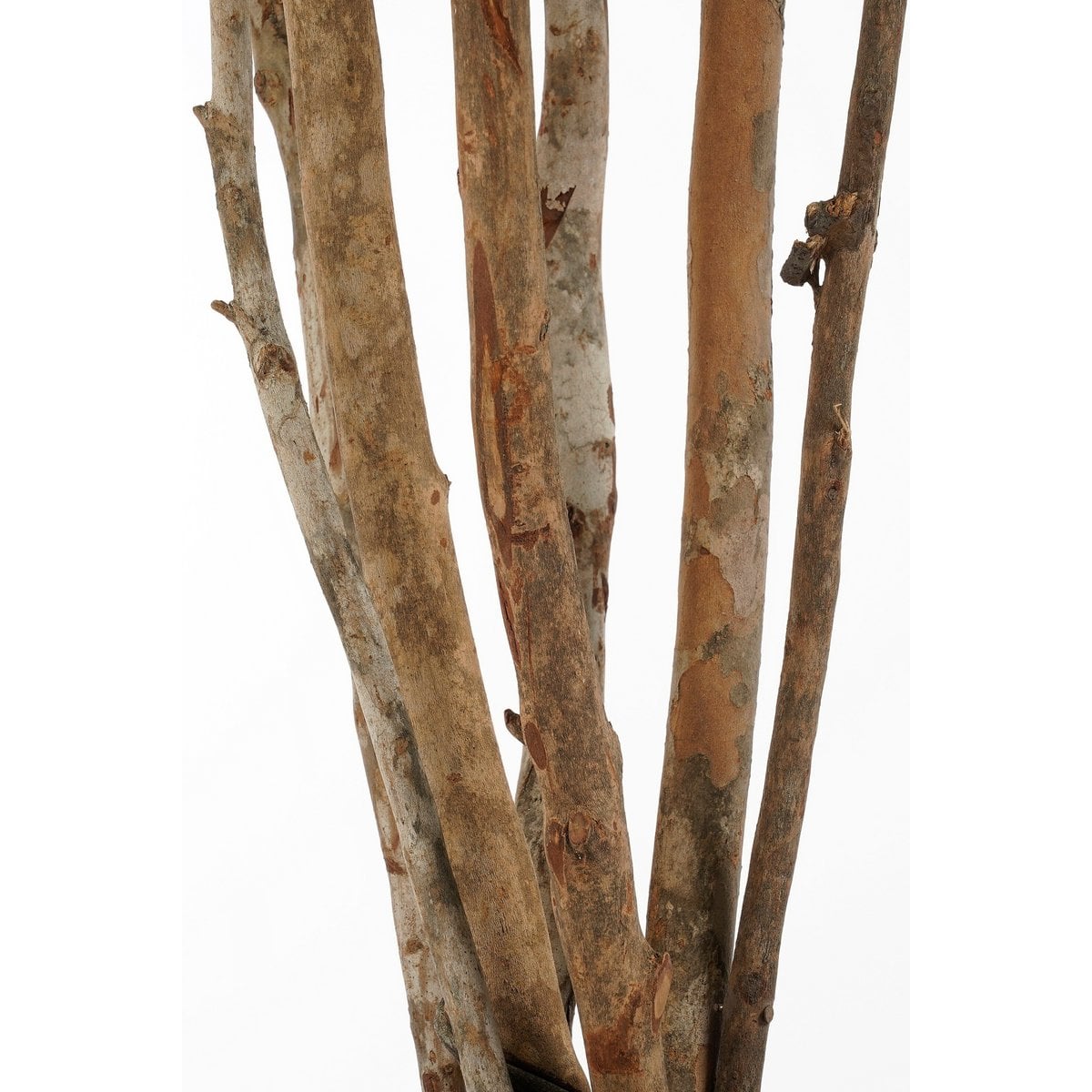Kunstplant Populier Groen 110cm - Real Touch