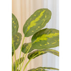 Calathea Kunstplant 70cm