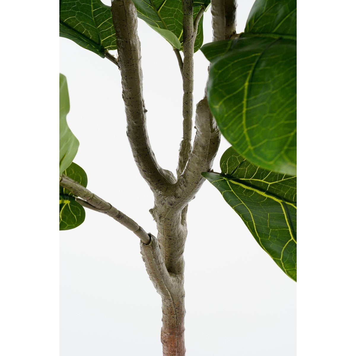 Kunstplant Ficus Lyrata 150cm