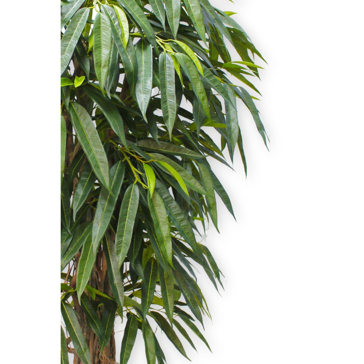 Longifolia Kunstplant 180cm