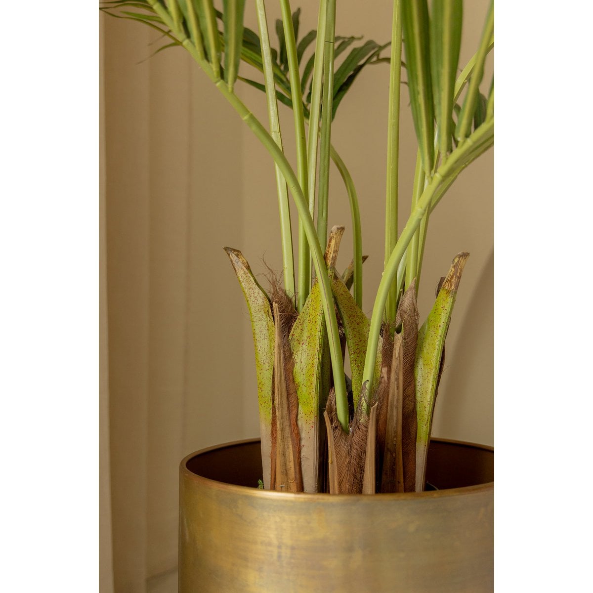 Kunstpalm Kentia 180cm