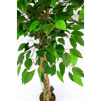 Kunst Ficus 150cm