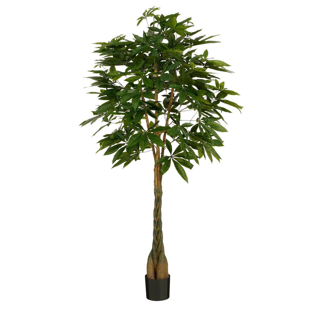 Kunstplant Pachira Real Touch 150cm
