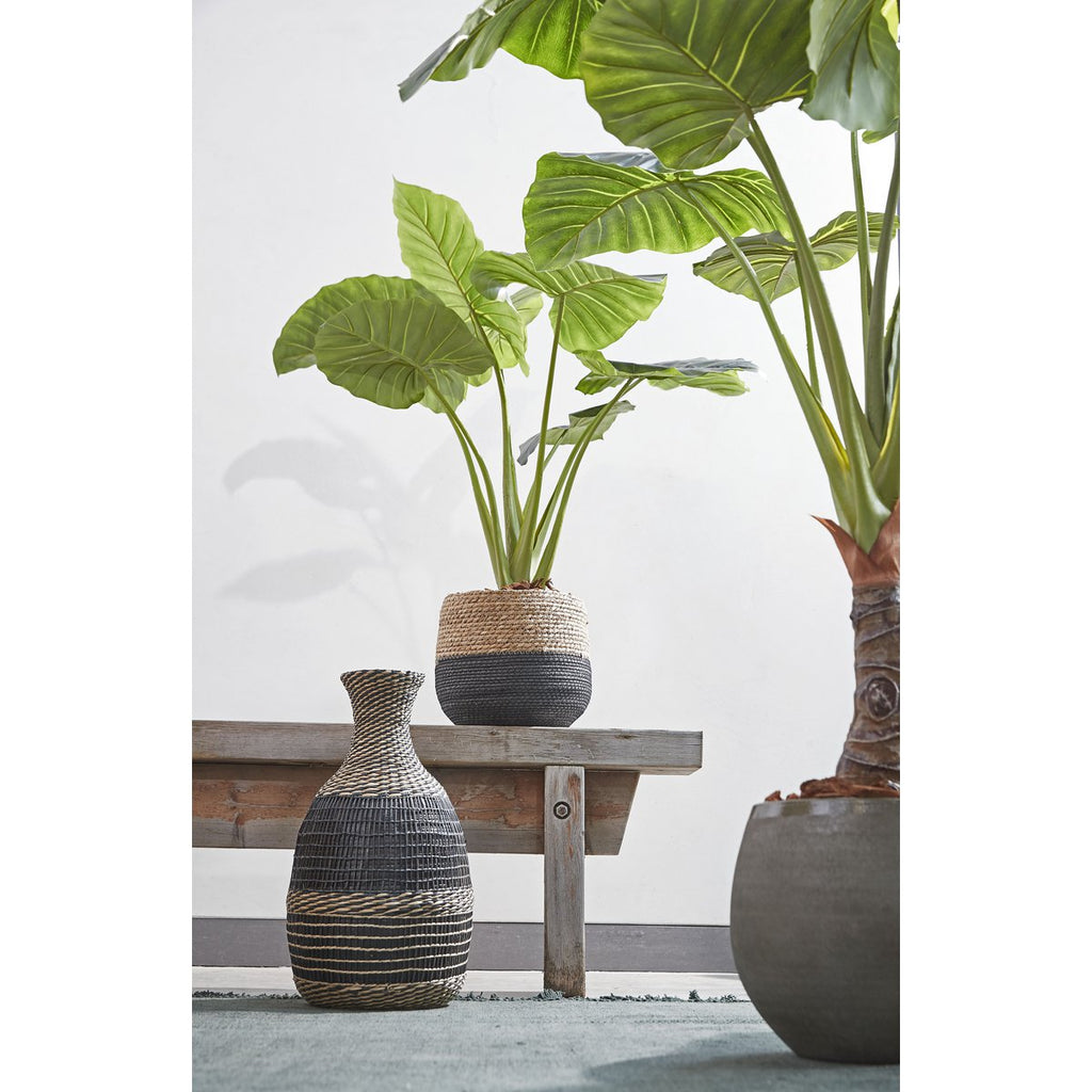 SET - Plantenmanden Joel Zwart