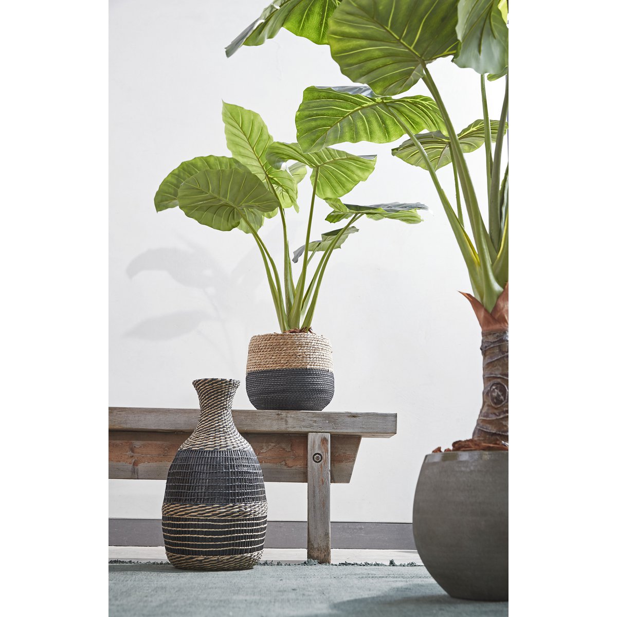 SET - Plantenmanden Joel Zwart
