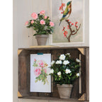 Kunstplant Roosje Wit 33cm