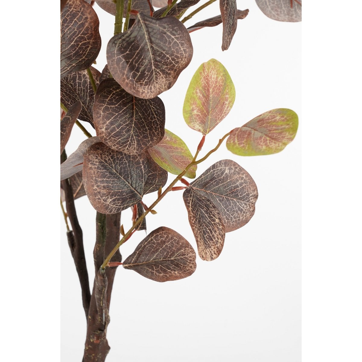 Kunstplant Eucalyptus Brons 180cm