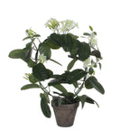 Kunstplant Stephanotis Wit