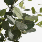 Kunstplant Eucalyptus 180cm