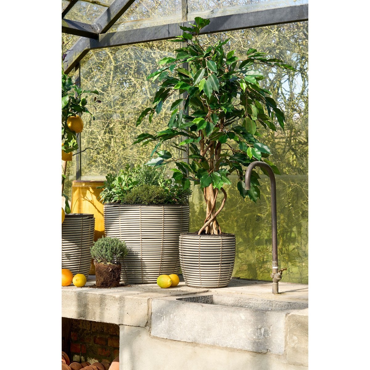 Kunstplant Ficus Groen 110cm