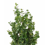 Kunstplant Eucalyptusboom Groen 175cm  - Real Touch