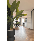 Strelitzia Kunstplant 180cm