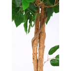 Kunst Ficus 130cm