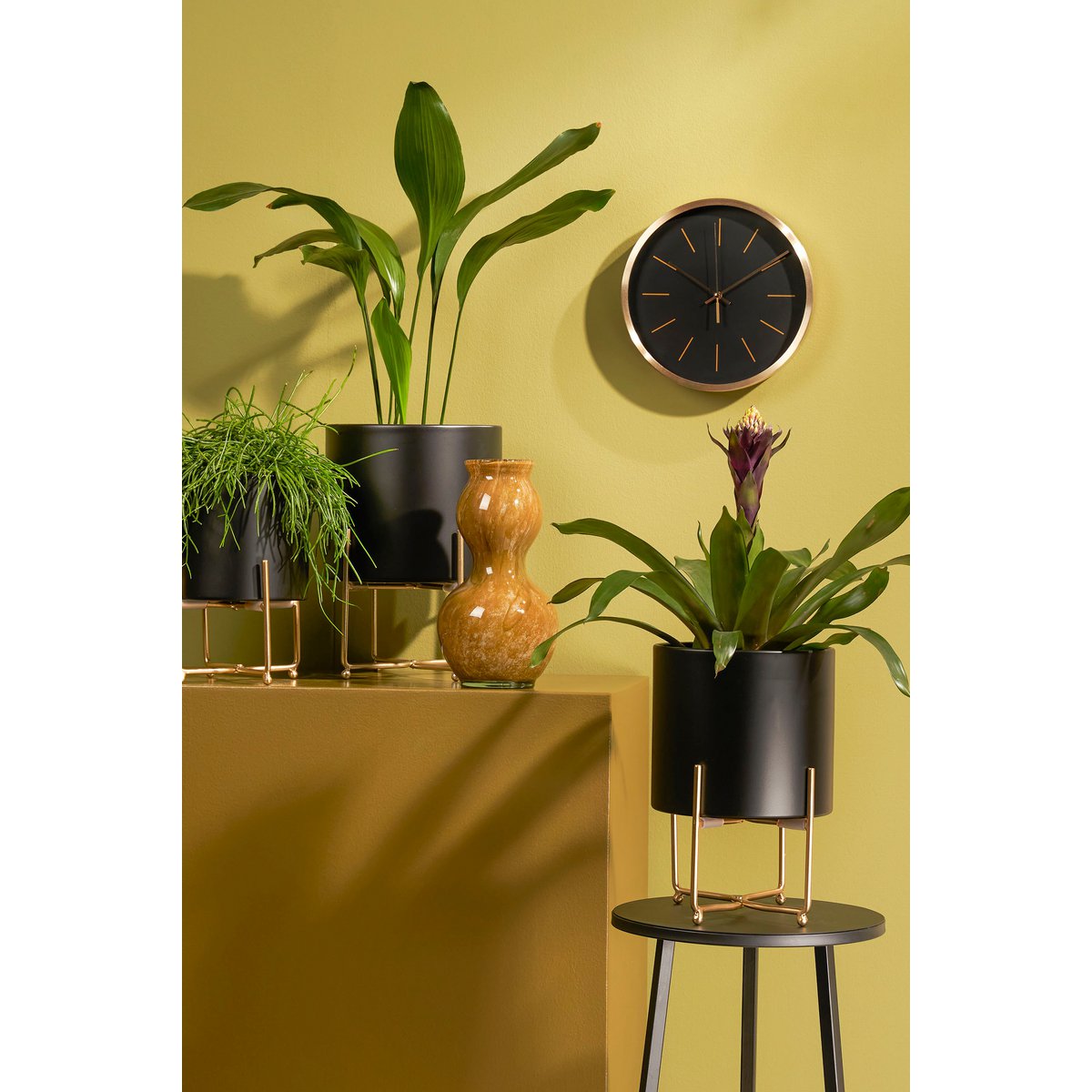 Plantenstandaard set Aries Zwart