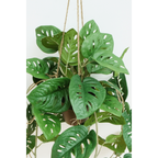 Monstera Monkey Bush Kunst Hangplant 95cm