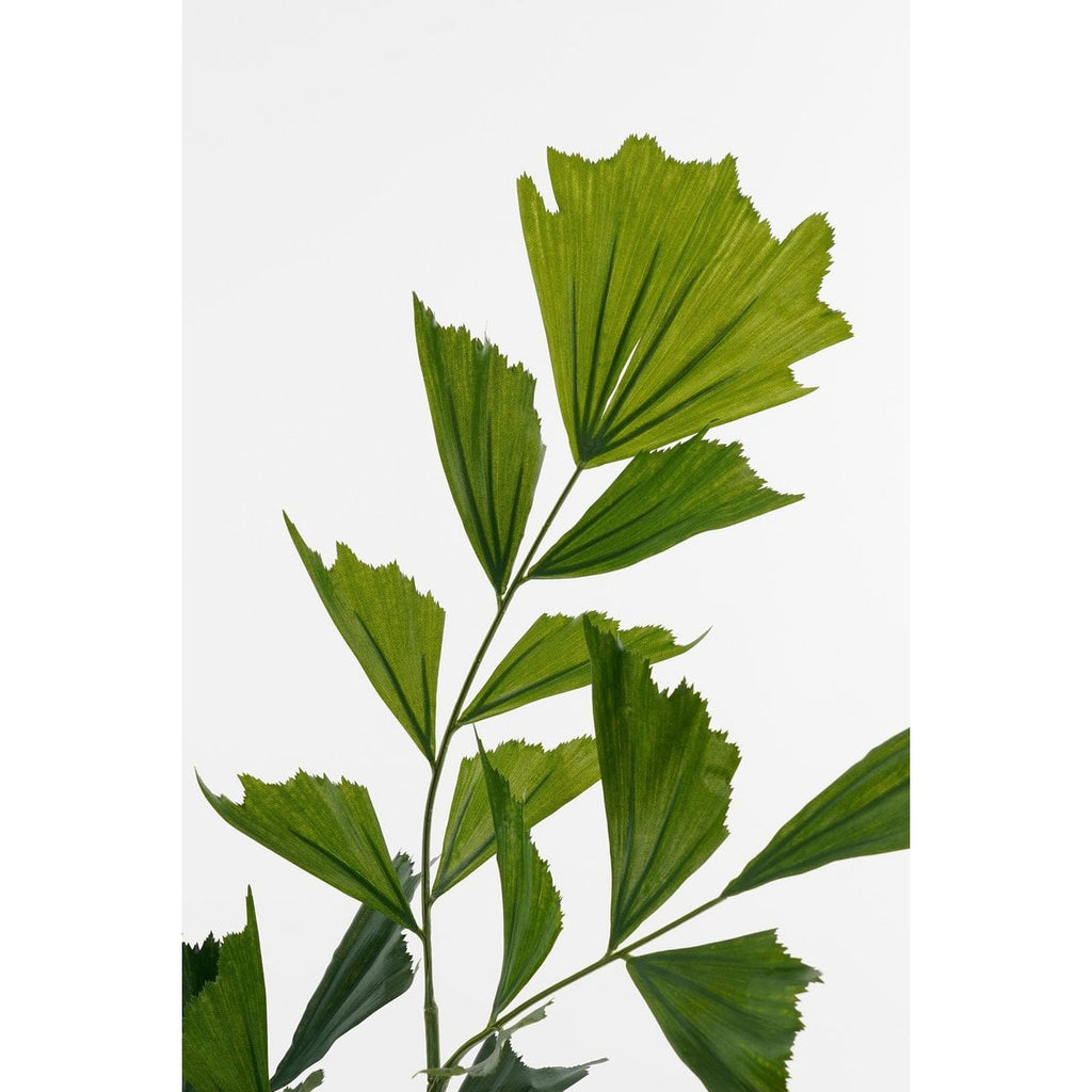 Kunstplant Fishtail Real Touch 150cm