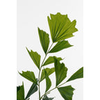 Kunstplant Fishtail Real Touch 150cm