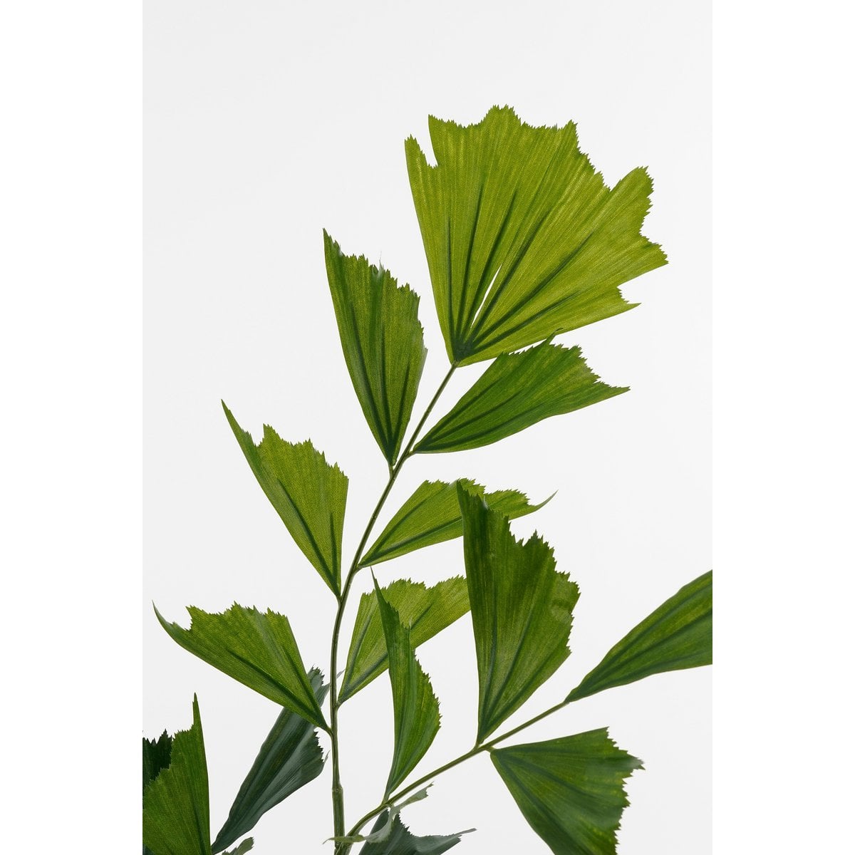 Kunstplant Fishtail Real Touch 150cm