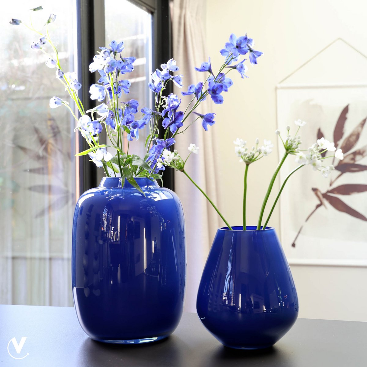 Vaas - Tasman S bright blue