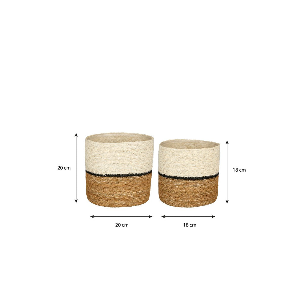 SET - Plantenmanden Damian Wit