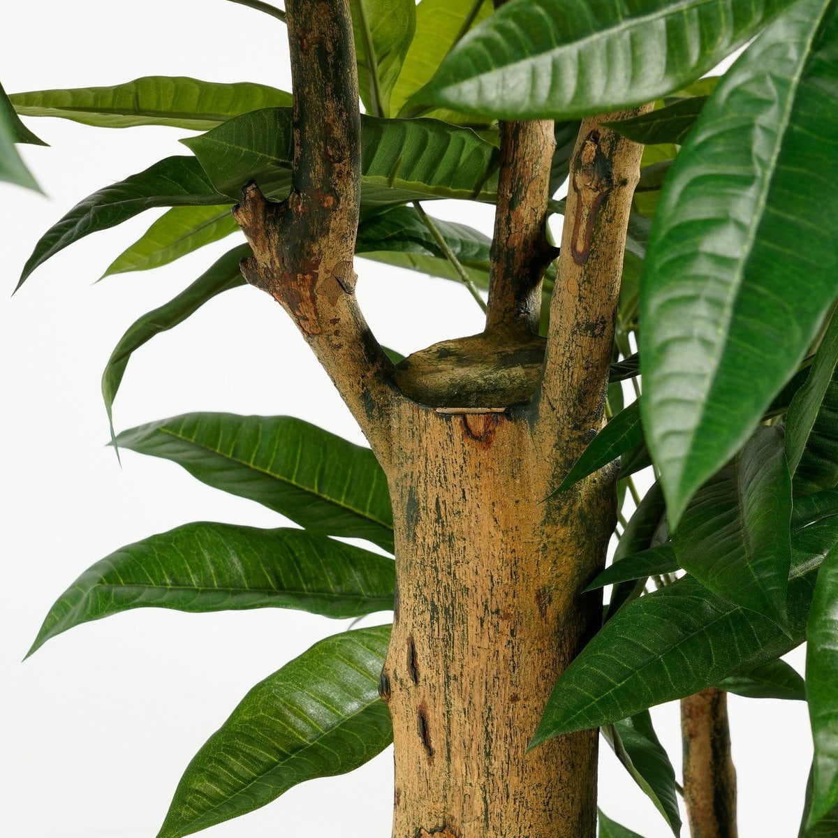 Kunstplant Pachira Groen 175cm - Real Touch