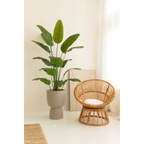 Kunst Bananenplant 180cm