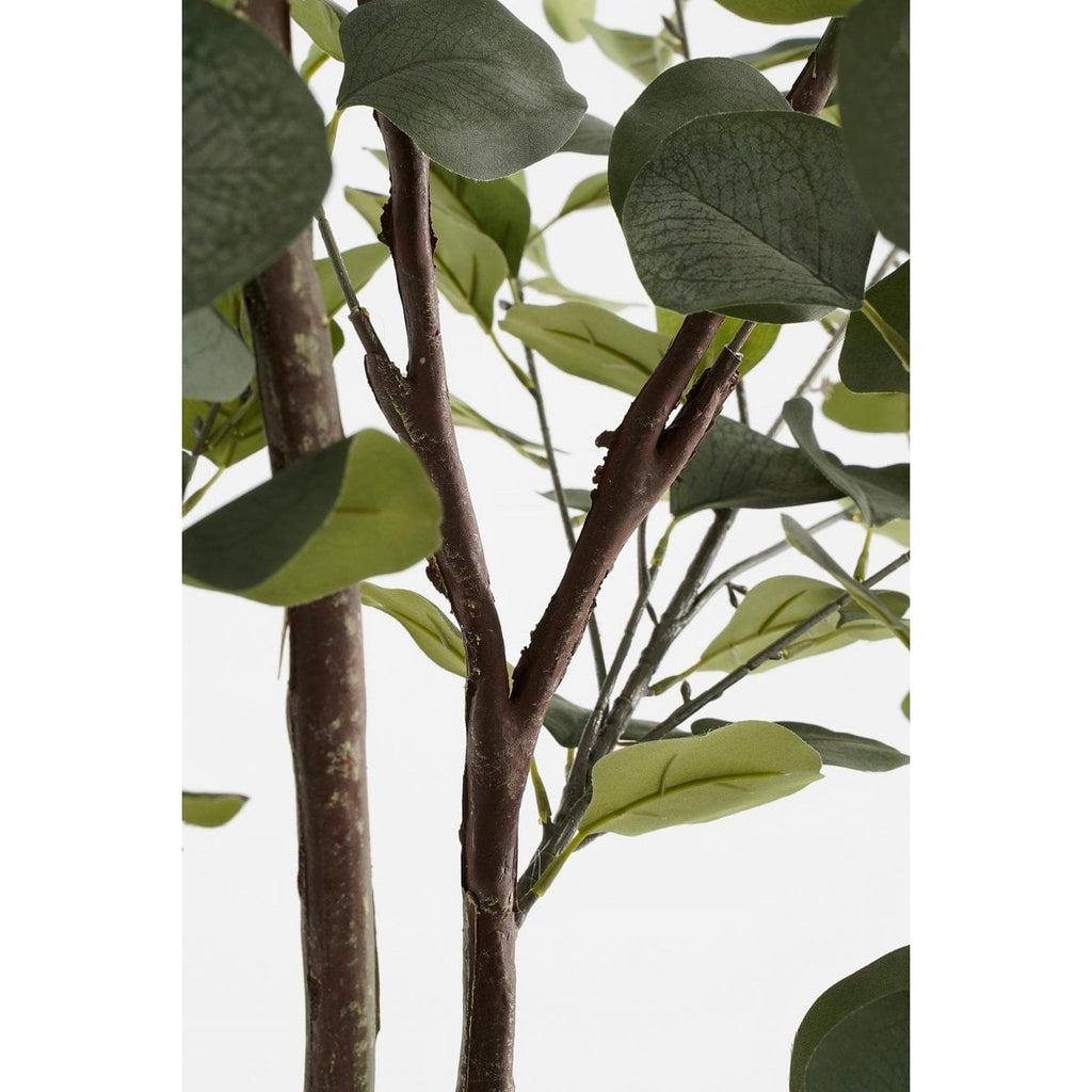 Kunstplant Eucalyptus 180cm