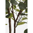 Kunstplant Eucalyptus 180cm