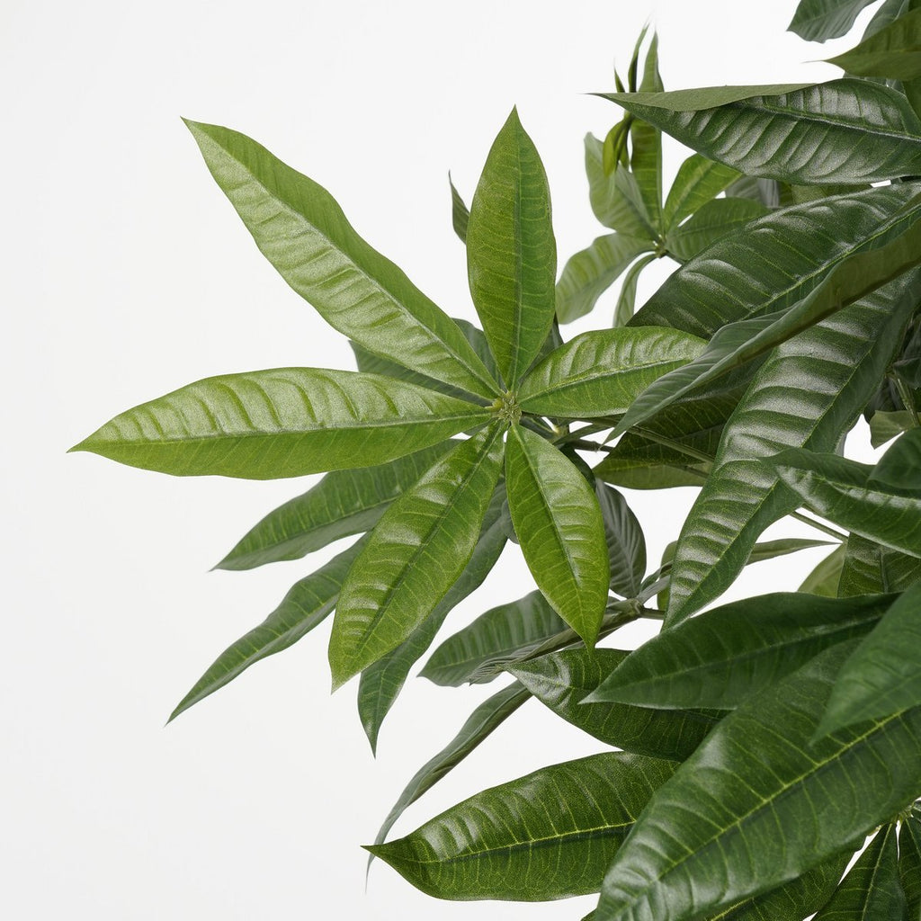 Kunstplant Pachira Groen 120cm - Real Touch