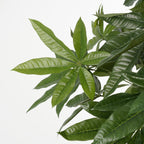 Kunstplant Pachira Groen 120cm - Real Touch