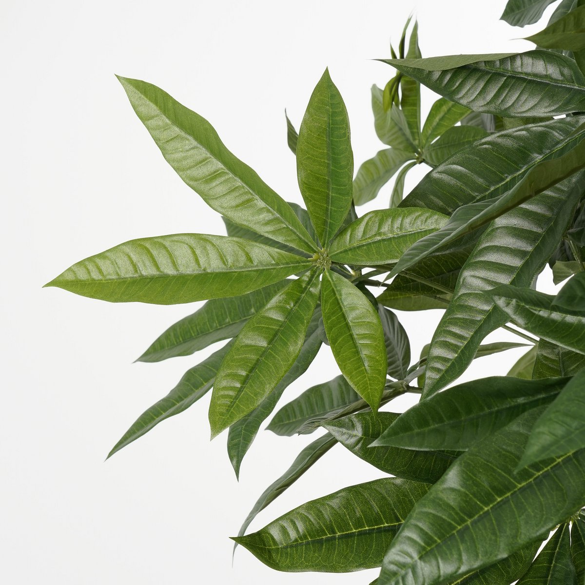 Kunstplant Pachira Groen 120cm - Real Touch