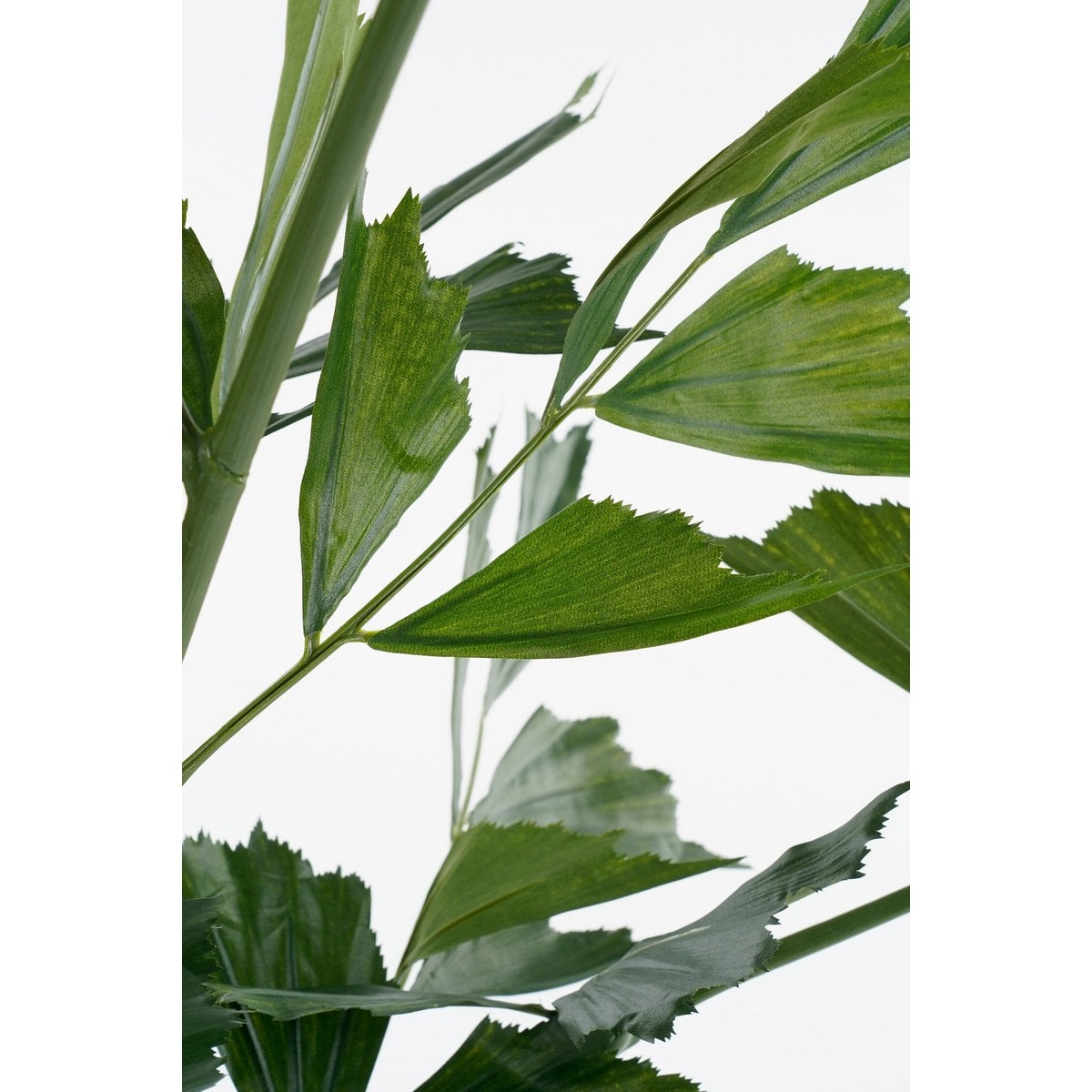 Kunstplant Fishtail Real Touch 150cm
