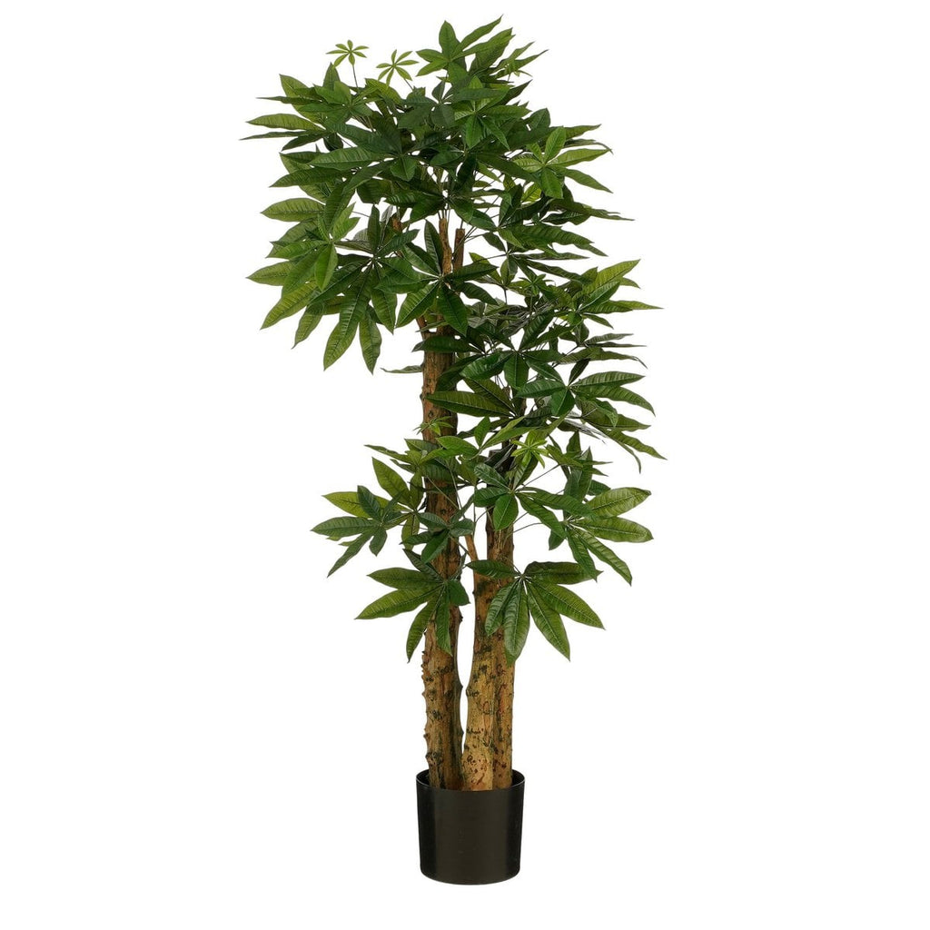 Kunstplant Pachira Groen 175cm - Real Touch